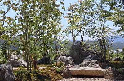 庭の写真_1サムネイル