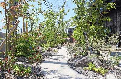 庭の写真_3サムネイル